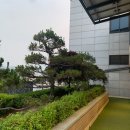 강남-266 이미지