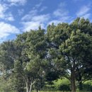 태정목장 이미지