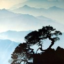 산미 - 은평구 연서로27길 16-9 | 산미