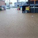 군산미성초등학교 이미지