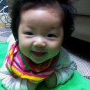 신동-113 이미지