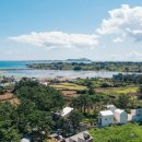 하도기록 이미지