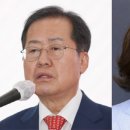 홍준표 "벼룩도 낯짝이 있지".. 나경원 "설마 'N모 중진'이 나?" 이미지