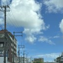 아이스크림블루 | 오키나와 아이스크림 추천 블루씰 자색고구마 맛 솔직후기