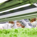 연암대학교 이미지