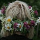 플라워봄 이미지