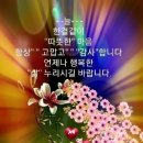 그대가머무는곳 Daum카페