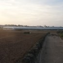 동일리 지석묘 4호 이미지