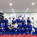 용인대 유도 체육관 이미지