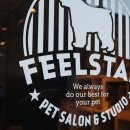 초롱이 애견 미용샵 이미지