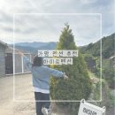 하미르펜션