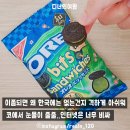인생푸드