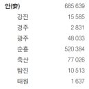 복성상회 | 뿌리를 찾아서_안씨