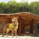 안녕노을 이미지