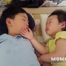 석수캠핑장 네이버블로그