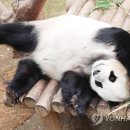 봄날오후 이미지