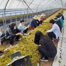 명은농장 이미지