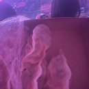 (주)엔시엘오 | 슴30주년=내 덕질의 역사 2025 smtown 30주년 콘서트 첫콘 4층 연석 후기 🩷🩷🩷 내 피는 핑크블러드였음을