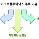 딕스시스템