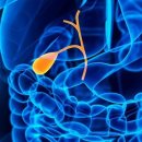 우리들항외과의원 이미지