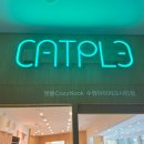 세븐일레븐 수원아이파크5단지점 | 수원아이파크시티 신상 수원고양이카페 [캣플코지눅] 오픈이벤트 다녀온 솔직후기