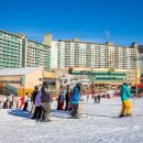 웰리힐리파크 이미지