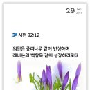 모아보청기 이미지