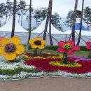 평화공원내 이미지