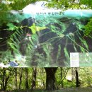 영인산휴양림 물놀이터 이미지