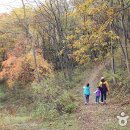 사계절자연방목농장 이미지