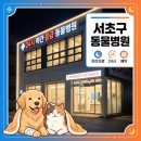 VIP동물의료센터 서초동작점 | 서초구 동물병원 야간진료 예약 24시 응급 당일접수 총정리