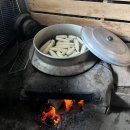 삼척옥수수 | 여름 옥수수의 계절, 강원도 삼척 옥수수 수확 후기
