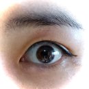 이끌림안경원 | 1회용렌즈 바슈롬 내추럴 퓨어블랙 서클렌즈