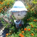 비자보나 펜션 이미지