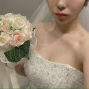 클로이픽 | [강남] 메종클로이 본식 드레스 셀렉 후기 - 오간자/미카도/레이스/비즈