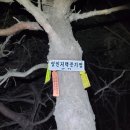 영인농장 이미지