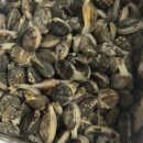 바다랑 포도펜션 이미지