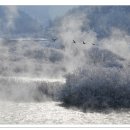 하얀물안개 이미지