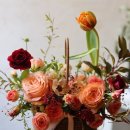 홍성화원 이미지