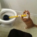 노영철외과의원 | [포항시] 노영철외과의원 치질 치핵 수술 후기 리뷰 모음