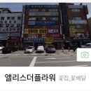 앨리스더플라워