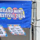 2024.11.03 그랜드 민트 페스티벌 (GMF) 후기
