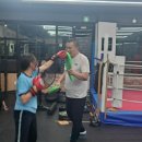 BMG 복싱 이미지