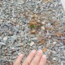 캐빈빌리지 펜션 이미지