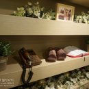 압구정-220 이미지