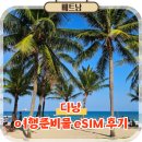 달베트남 | 베트남 다낭 이심 한달살기 여행준비물 링심 esim 구매후기