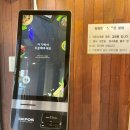 둥둥돈까스 이미지