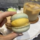 인마망마카롱 이미지