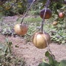 동혜농장 이미지