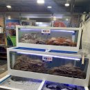 대원대게센터 이미지